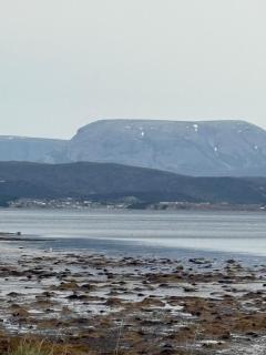 Bonne Bay Biscuit Box - 4