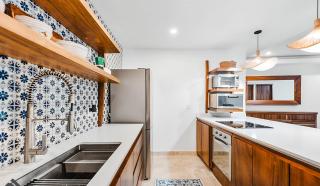 Pájaro de Fuego 406 - 9