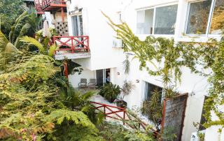 Pájaro de Fuego 406 - 8