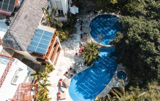 Pájaro de Fuego 406 - 1