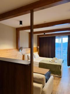 Atrium, new Gudauri - Gudauri - 7