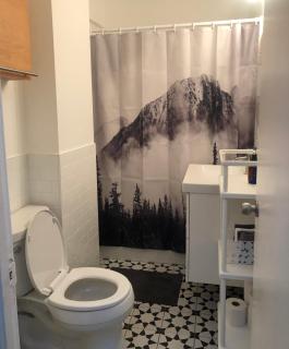 Beautiful house in central Toronto with backyard - 8