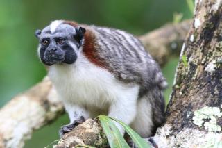 Hacienda MartinezSierra - 0