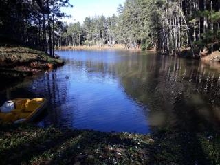 Hacienda MartinezSierra - 8