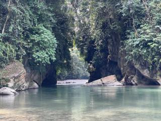 Green Forest Tangkahan - 2