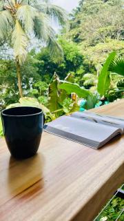 Cabaña Río San Carlos Ecolodge - 7