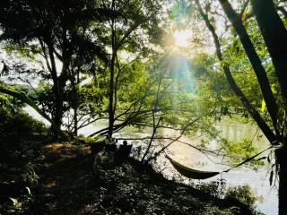 Cabaña Río San Carlos Ecolodge - 9