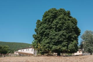 Country House Il Vecchio Ippocastano Adults only - 8