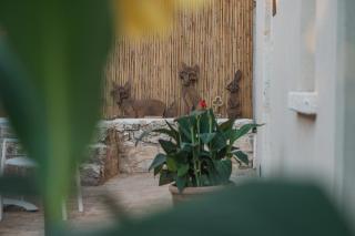 Country House Il Vecchio Ippocastano Adults only - 7