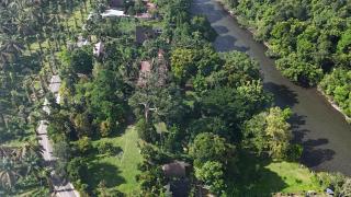 Green Forest Tangkahan - 9