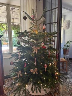 Le Patio Des Senteurs - 6