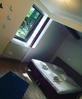 Apartament Central Muma - 4