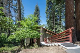 Yosemite Cub's Cabin - 9