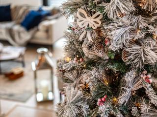 3 Bed in South Tehidy 90549 - 1