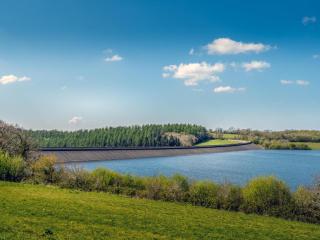 3 Bed in Broadwoodwidger oc-s31783 - 9