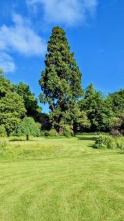 Shepherds Hut on tranquil Powis House Estate - 1