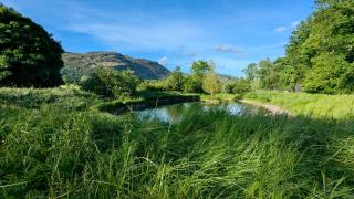 Shepherds Hut on tranquil Powis House Estate - 3