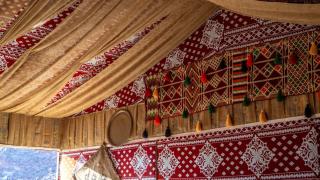 Dania Luxury Camp - 2