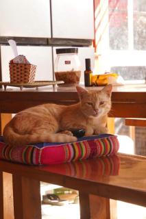 Mu Cang Homestay - 1