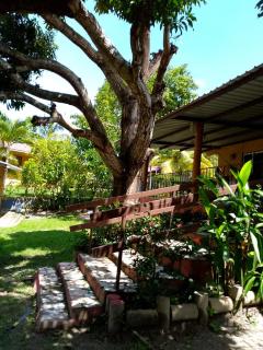 La casa de Sonia - 1