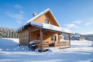 Bieszczady Żubrowe Wzgórze 785-049-543 - 6