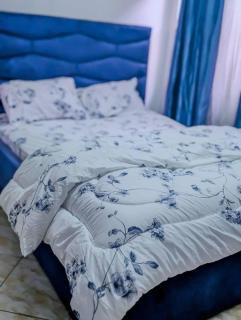 East Legon Cozy 2 BR 2 Bath Apt with backup Power - 8