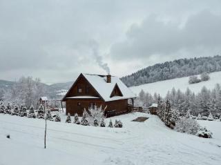 Bieszczady Żubrowe Wzgórze 785-049-543 - 4