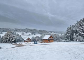 Bieszczady Żubrowe Wzgórze 785-049-543 - 5