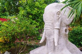 5 Bedroom Luxury Villa with Private Pool and Security - fits 12 - 3