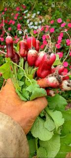 Infinite Stillness Farm - 8