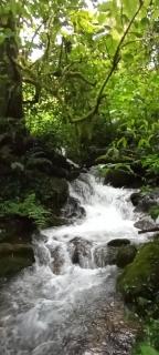 Infinite Stillness Farm - 5