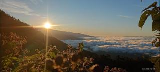 Infinite Stillness Farm - 1