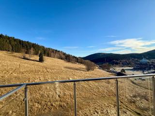 Aparthotel Apartamenty Czarna Góra 220 - 1