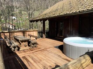 Chalets à La Bresse - LE RENNE Chalet en bois au calme avec SPA Jacuzzi MAE-8031 - 8
