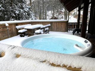 Chalets à La Bresse - LE RENNE Chalet en bois au calme avec SPA Jacuzzi MAE-8031 - 7
