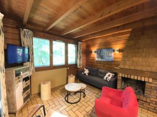 Chalets à La Bresse - LE MONTAGNARD Chalet en bois MAE-8061 - 0