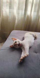 Casa 100m da Praia do Lázaro com Ar cond e 3 suites - 9