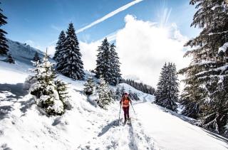 Appartements à Châtel - Yéti YT17B6 MOUNTAIN & NATURE 4 Pers. MAE-1611 - 1