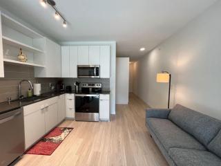 Modern Sunny Micro 1BR Light Rail Parks MSP 205 - 0