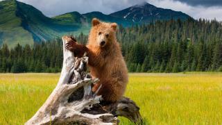 Deptford Retreat - 3