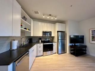 Modern 1BR Near Light Rail Hospitals MSP 06 - 6
