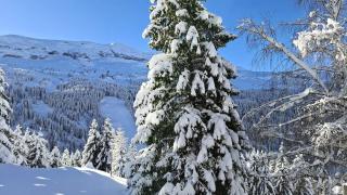 Résidence Belier - Appartement confortable et lumineux · Au pied des pistes · WIFI gratuit et illimité MAE-7384 - 1