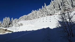 Residence De La Foret - Appartement confortable · Proche des pistes · WIFI gratuit et illimité MAE-7386 - 2