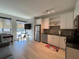 MSP Airport Hospitals Light Rail -Modern Apt 03 - 7