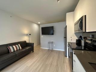 MSP Airport Hospitals Light Rail -Modern Apt 03 - 5