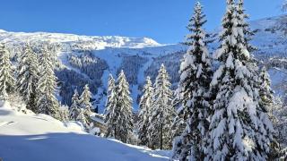 Résidence Pollux - Studio confortable avec cabine · Proche des pistes et des commerces · Balcon MAE-7415 - 1