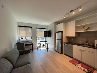 Modern Sunny Micro 1BR Light Rail Parks MSP 305 - 5