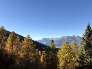 Résidence Le Meale - CENTRE-STATION Les Orres 1650 - Rés. MEALE - Studio 2-4 personnes MAE-0584 - 1