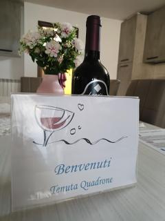 Tenuta Quadrone - Cura - 9