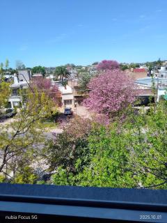 Tranquilidad, Confort y Seguridad III - 1